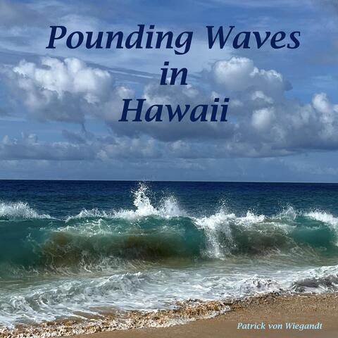 Pounding Waves in Hawaii