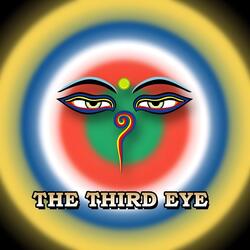 Bodhimarg - The Path of Enlightenment (feat. Bijaya Vaidya, Prem Rana & Surendra Shrestha)