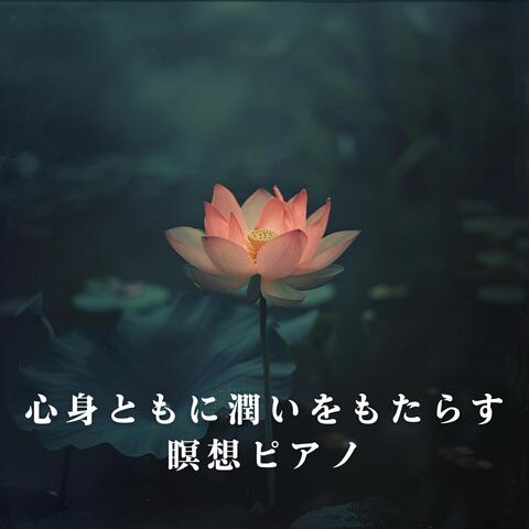 心身ともに潤いをもたらす瞑想ピアノ