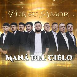Fue Su Amor