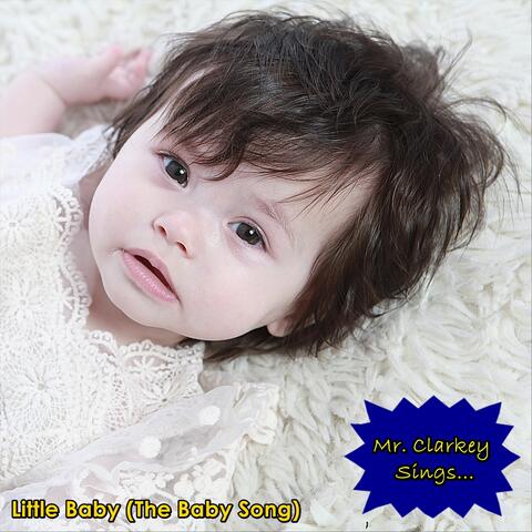 Little Baby (The Baby Song)
