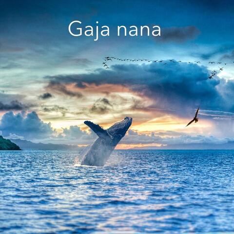 Gaja Nana