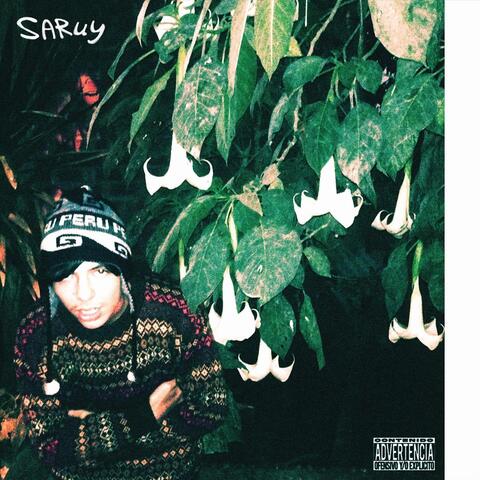 Saruy
