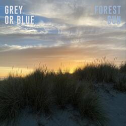 Grey or Blue