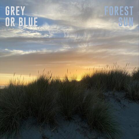 Grey or Blue