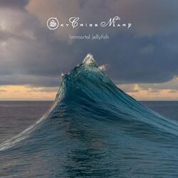 Seashell