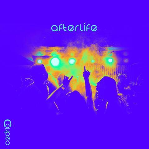 Afterlife