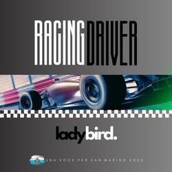 Racing Driver