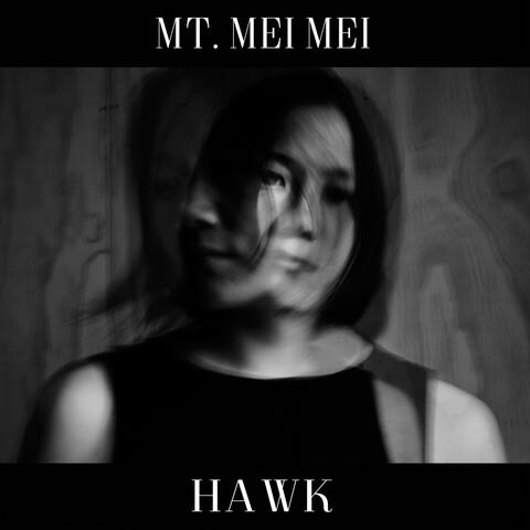 Hawk (Demo)