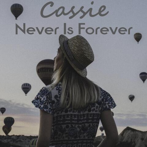 Never Is Forever