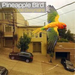 Pineapple Bird