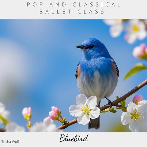 Pop and Classical Ballet Class: Bluebird