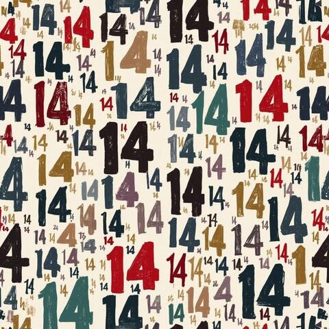 Fourteen