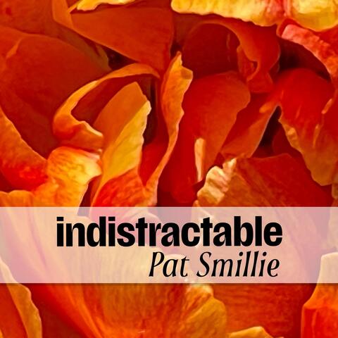 Indistractable