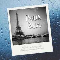 Seine Midnight Drizzle Rain Loop