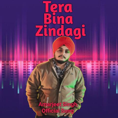Tera Bina Zindagi