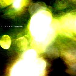 f i b r e s / assembly1