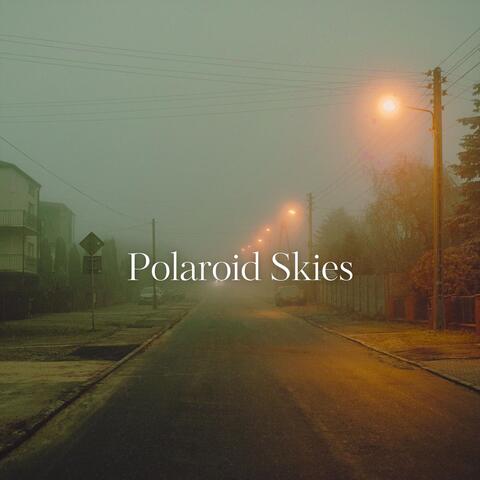 Polaroid Skies