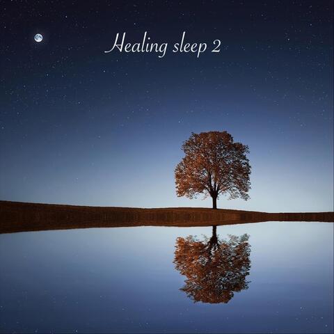 Healing Sleep 2