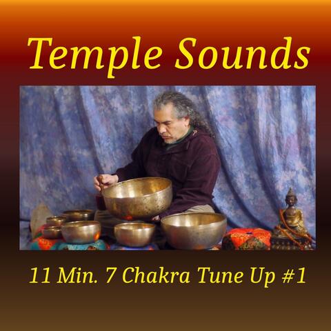 11 Min. 7 Chakra Tune Up #1