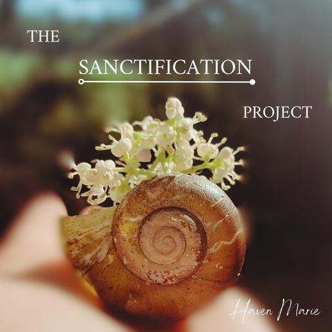 The Sanctification Project