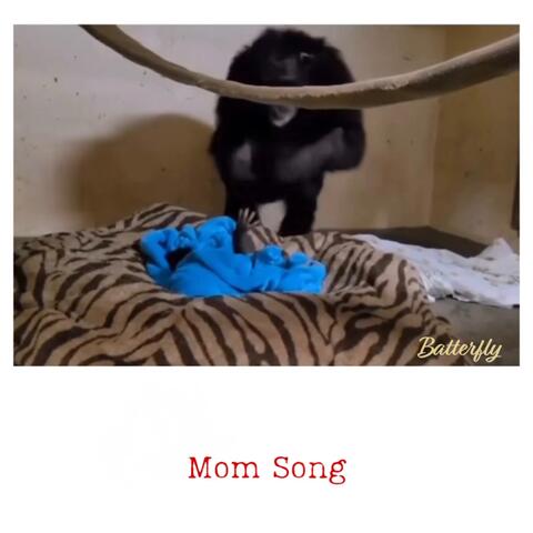 Mom Song