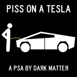 Piss on a Tesla