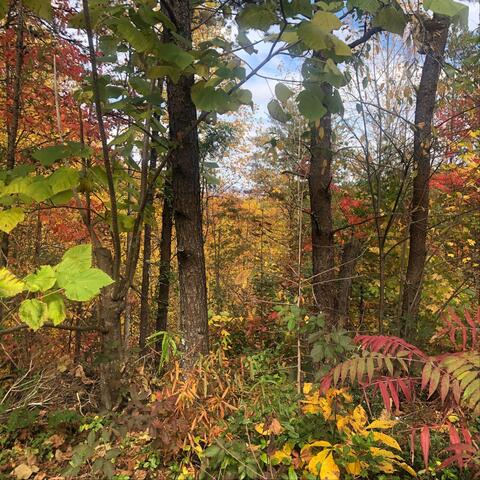 Here and There, This and That