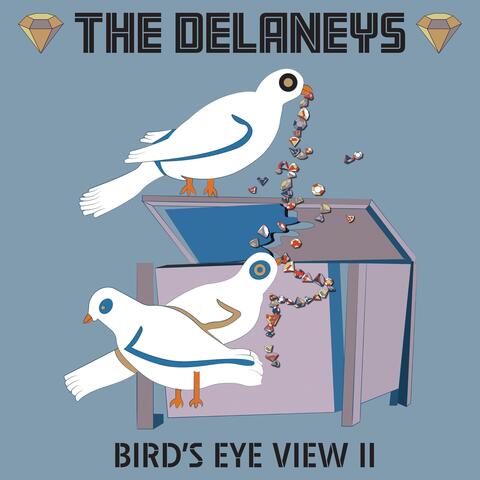 Bird's Eye View II