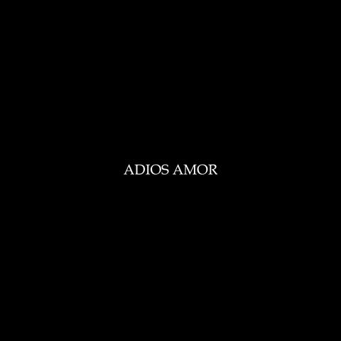 Adios Amor