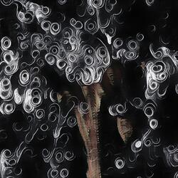 when horses tread water