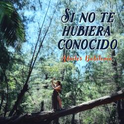 Si no te hubiera conocido
