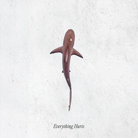 Everything Hurts