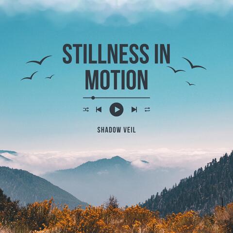 Stillness in Motion