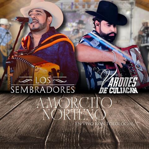 Amorcito Norteño (En Vivo)