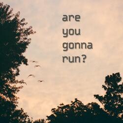 Are You Gonna Run?