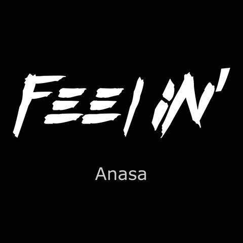 Anasa