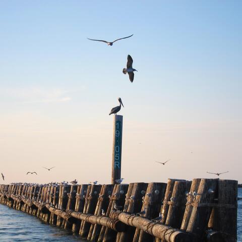 Mississippi River Wing Dam – Louisiana, USA