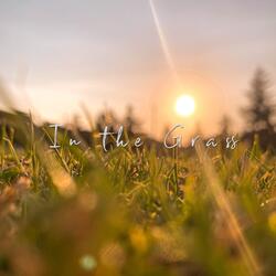 In the Grass
