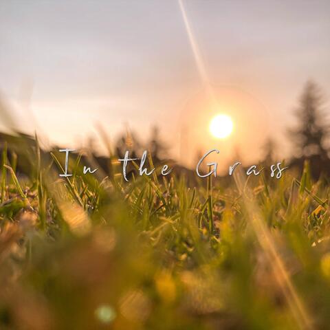 In the Grass