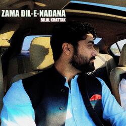 Zama Dil E Nadana