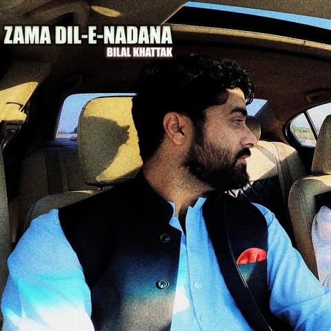 Zama Dil E Nadana