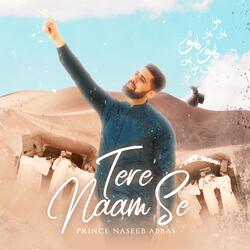 Tere Naam Se