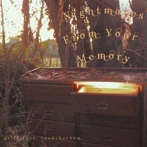 Nightmares From Your Memory (feat. readtheroom)