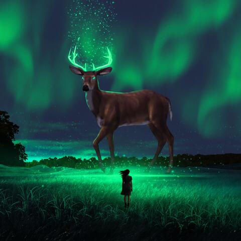 Mystical Night