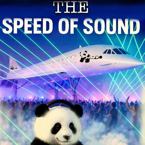 The Speed of Sound