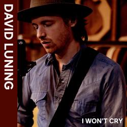 I Won't Cry