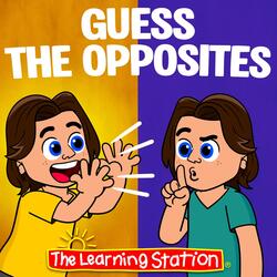 Guess the Opposites