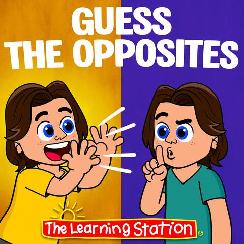 Guess the Opposites