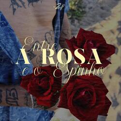 Entre a Rosa E O Espinho